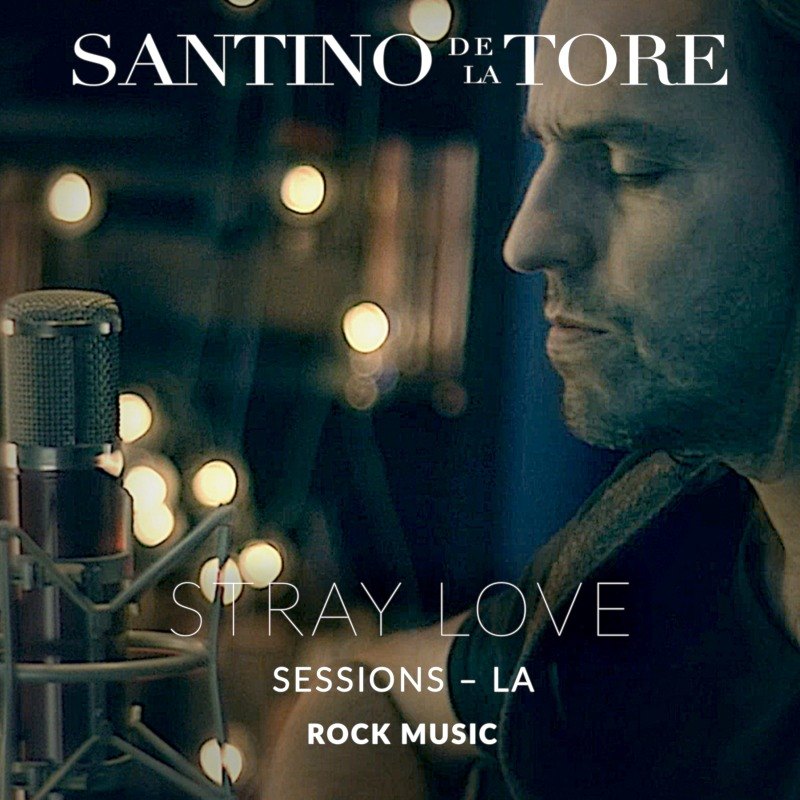 Portada de STRAY LOVE